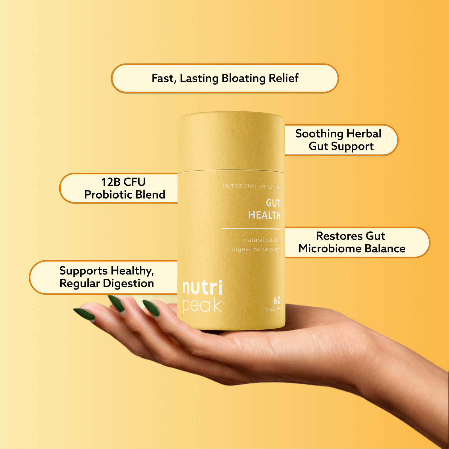 Gut Health 